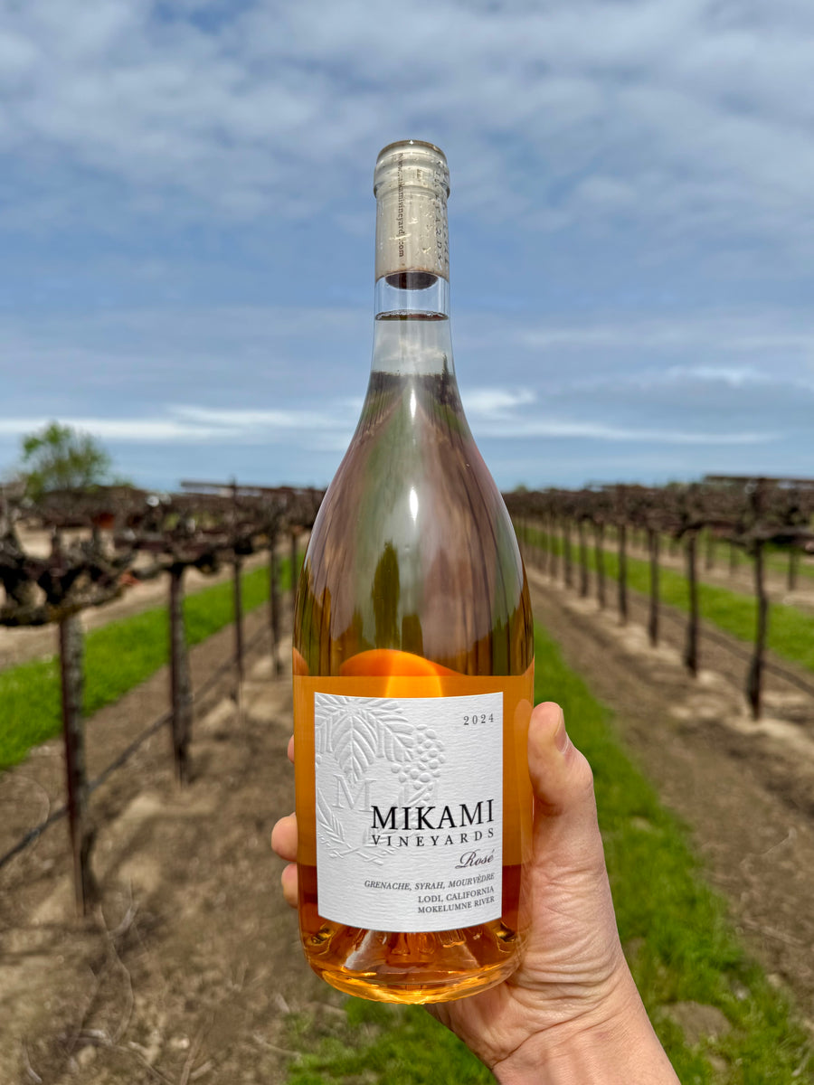 IMG_6567_1200x1200.jpg?v=