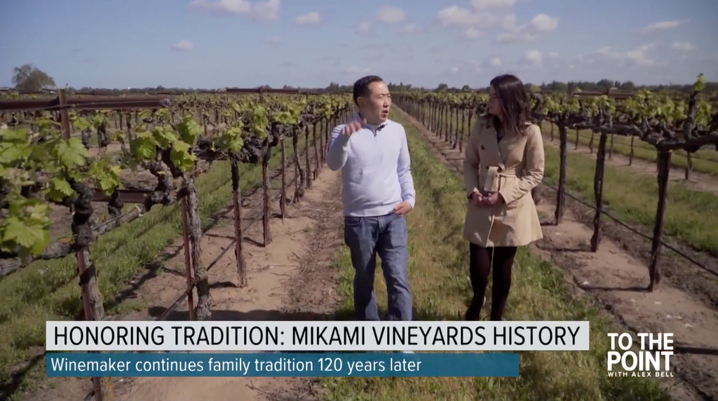 The History of Mikami Vineyards in Lodi